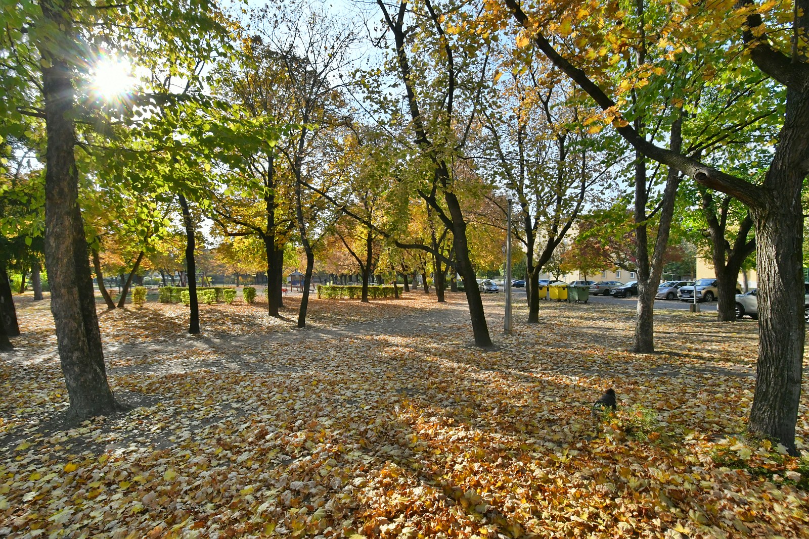 Őszi séta a Béke téren